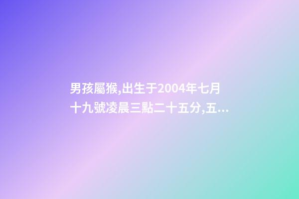 男孩屬猴,出生于2004年七月十九號凌晨三點二十五分,五行缺什么 2004年屬猴時辰命運，2004年幾點出生更好-第1張-觀點-玄機派
